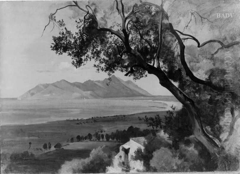 Sudliche Kustenlandschaft mit Olbaumen und Haus Oil Painting by Edmund Friedrich Kanoldt