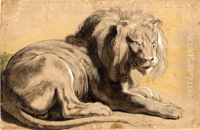 Lion in repose, facing right Oil Painting by (studio of) Rubens, Peter Paul