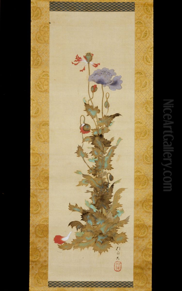 Poppies Oil Painting by Sakai Hoitsu