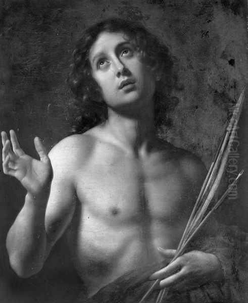Saint Sebastian Oil Painting by Carlo Dolci