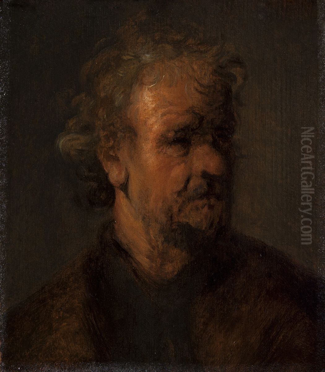 Study of a Man with Curly Hair Oil Painting by Rembrandt