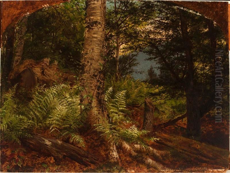 Study of Ferns Oil Painting by Fidelia Bridges