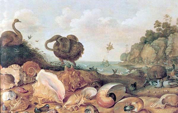 Perseus and Andromeda with a Dodo and seashells. Oil Painting by Gillis d'Hondecoeter