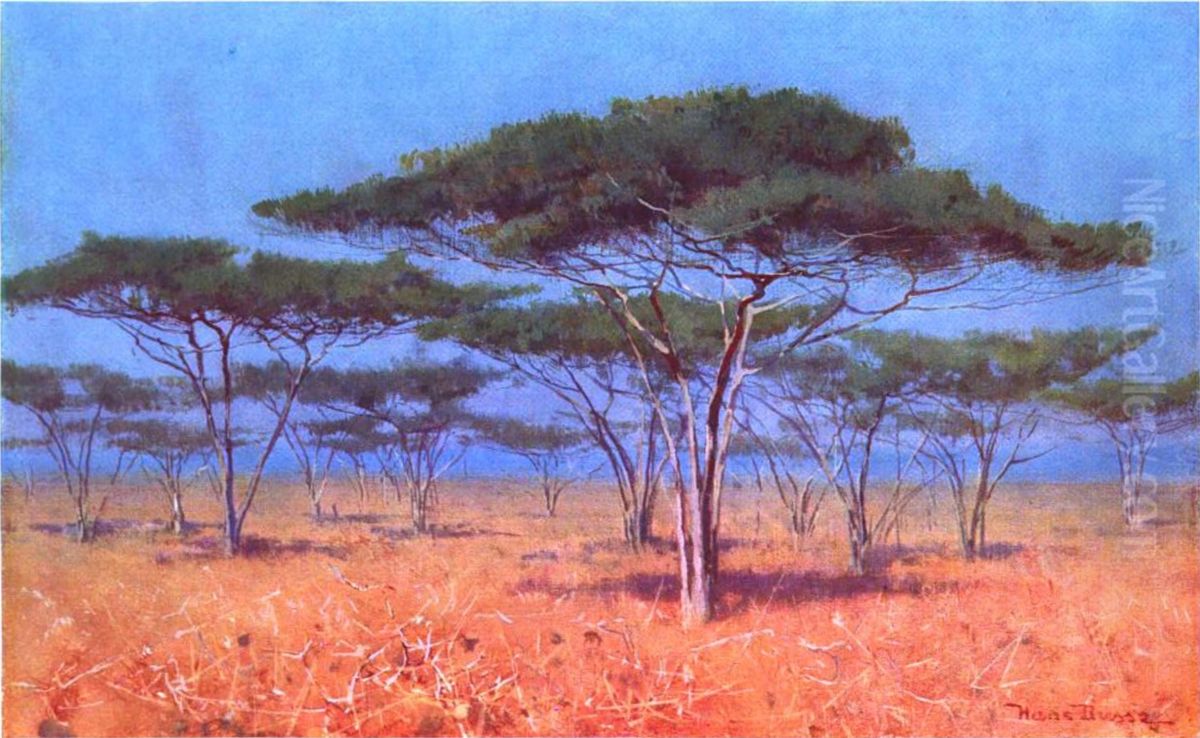 Schirmakazien in Ostafrika Oil Painting by Hans Busse