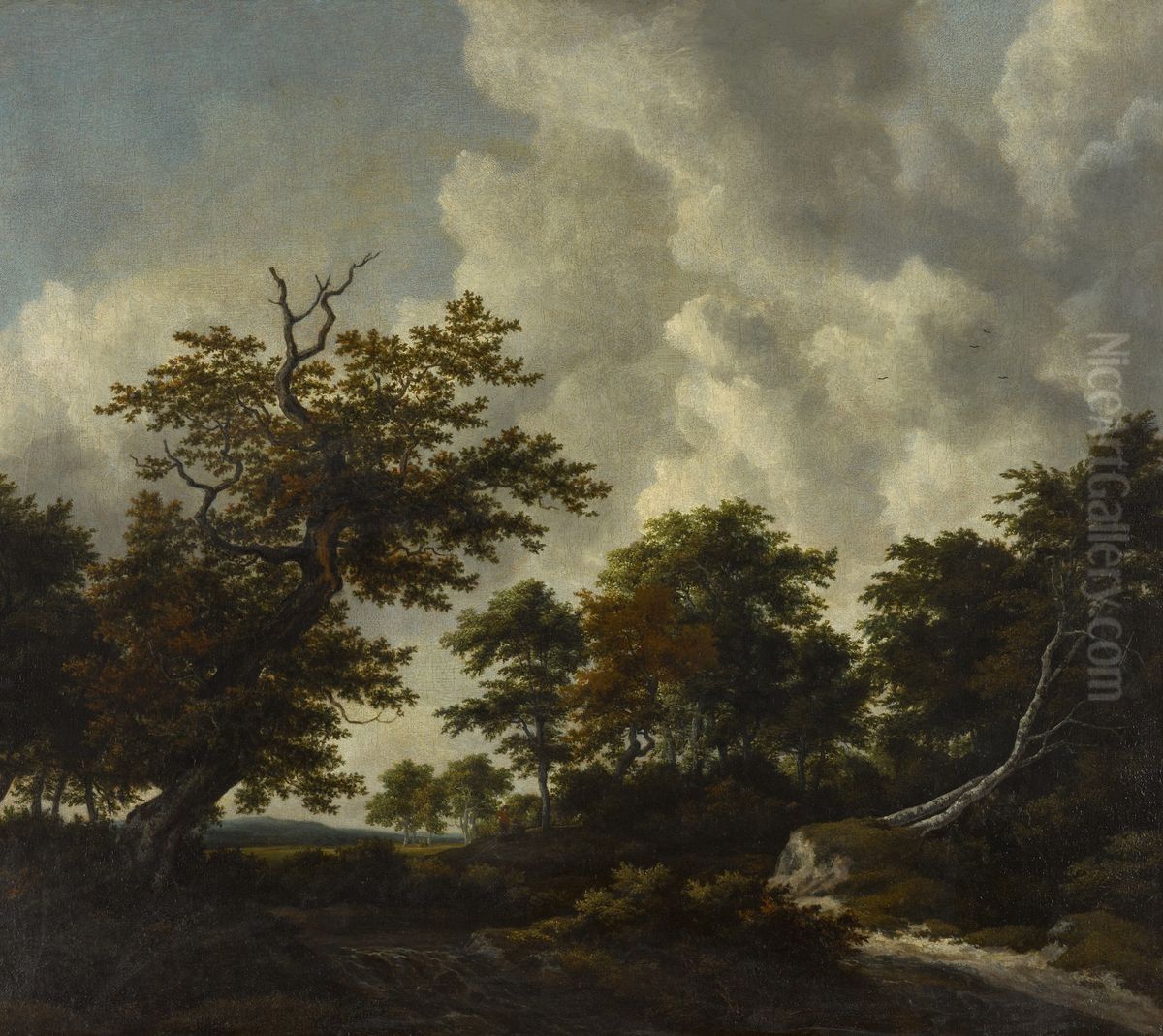 Bosky landscape with a large oak and two fallen beeches by a waterfall Oil Painting by Jacob Van Ruisdael