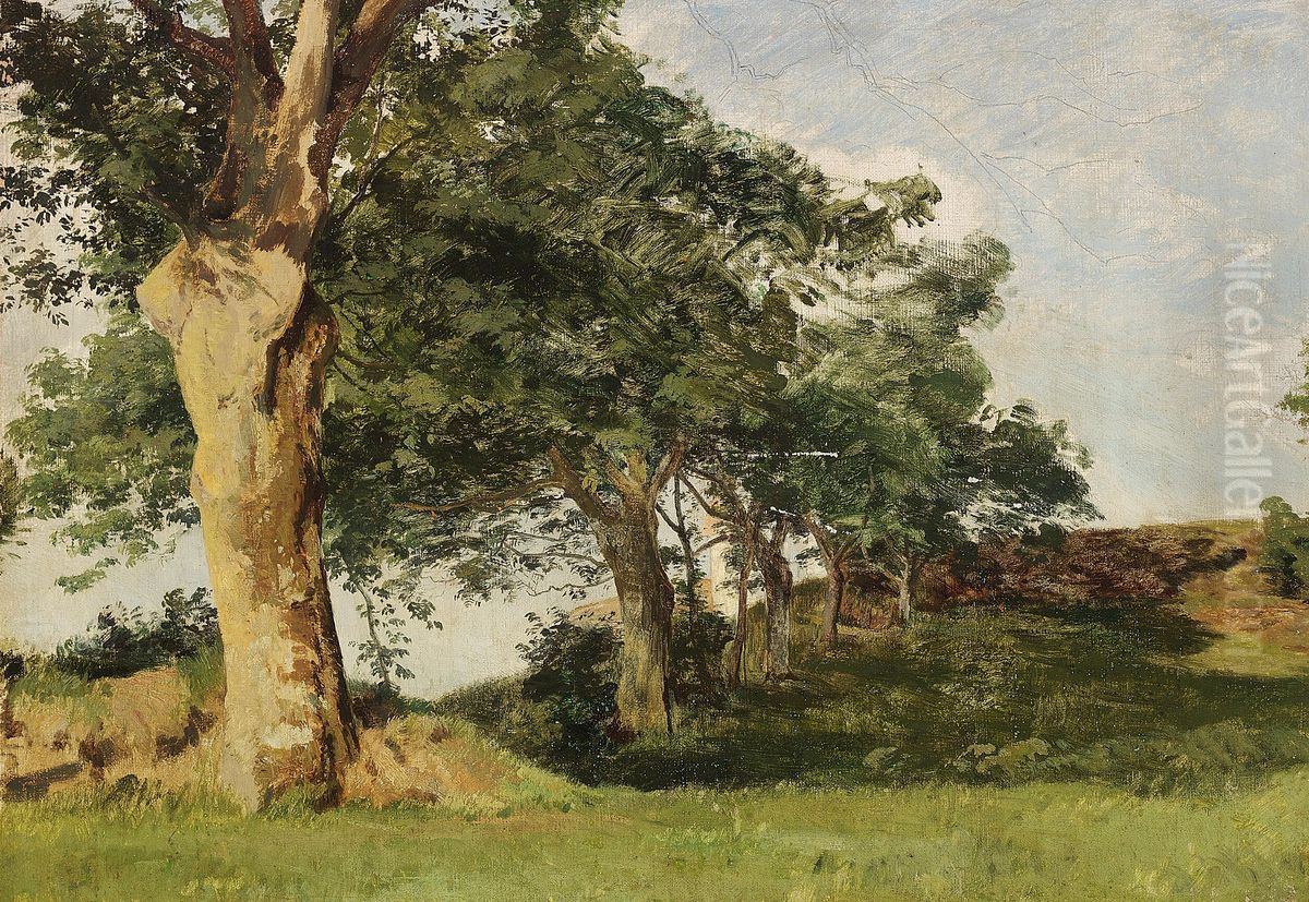 Studie af traeer langs et hegn. Oil Painting by Janus Andreas Bartholin La Cour