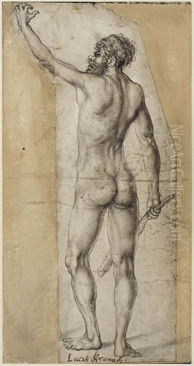 Nude man standing Oil Painting by Lucas Cranach the Elder
