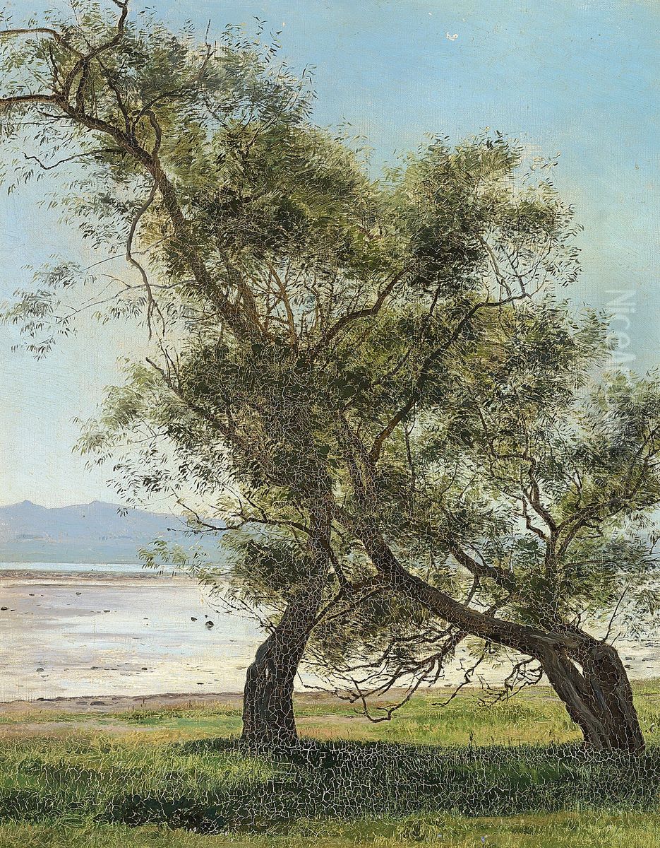 Old willow trees at Folle beach. Oil Painting by Janus Andreas Bartholin La Cour