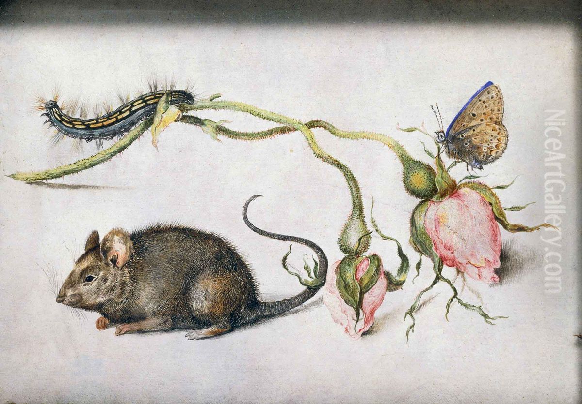 Topolino con rose Oil Painting by Jan Brughel