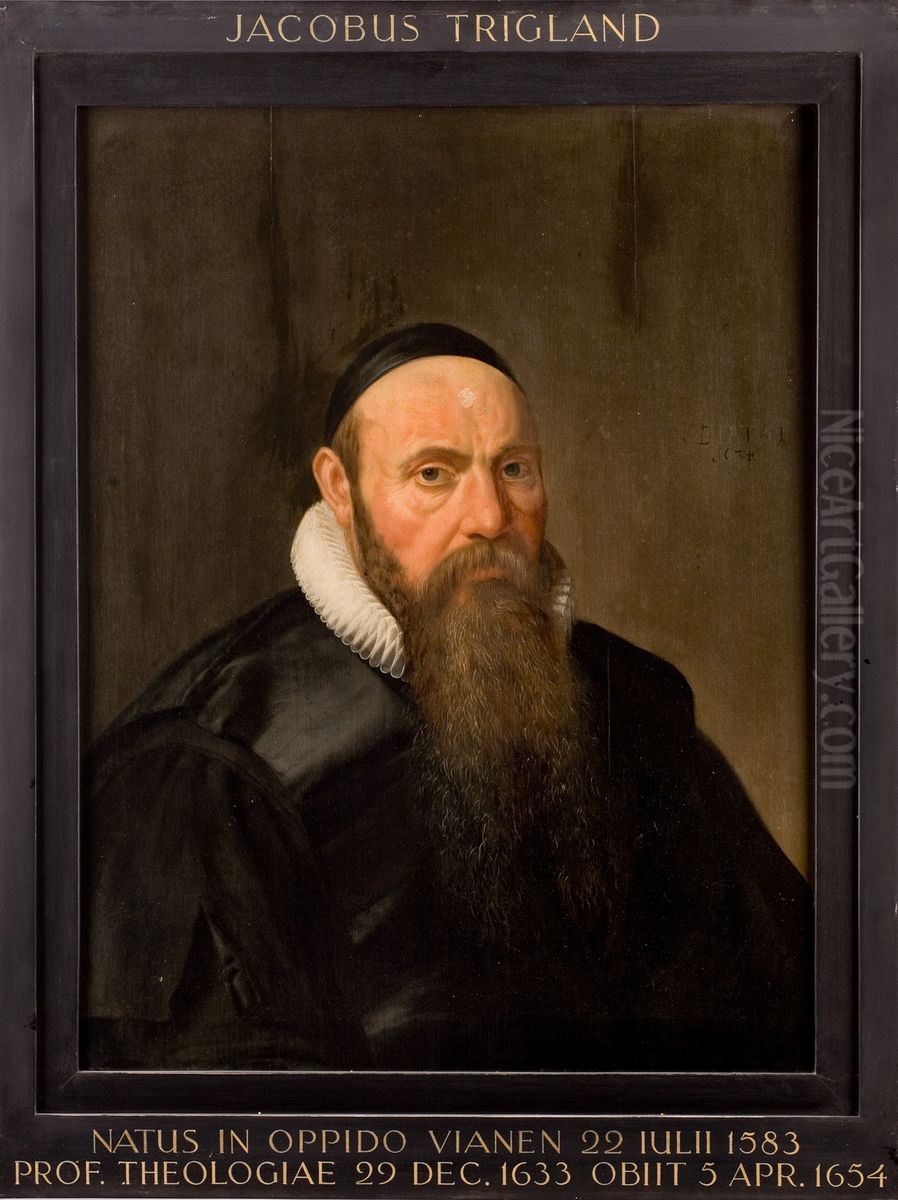 Portret van Jacobus Trigland, hoogleraar Godgeleerdheid te Leiden Oil Painting by Icones Leidenses