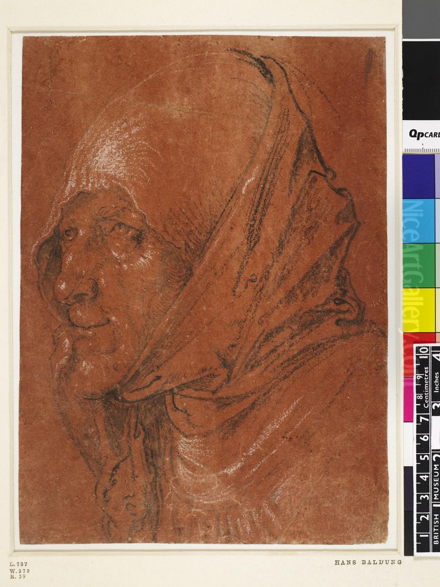 Head of an old woman Oil Painting by Hans Baldung Grien