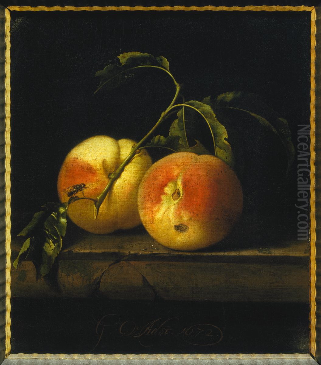 Still life of two peaches on a stone ledge Oil Painting by Willem Van Aelst