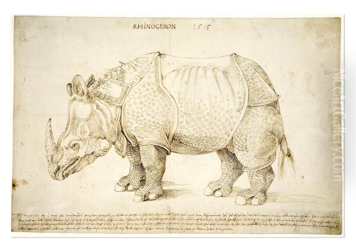 Rhinoceros (preparatory study) 1515 Oil Painting by Albrecht Durer