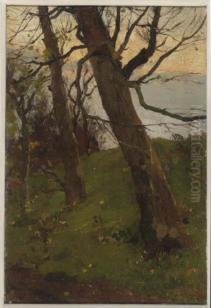 Boomstudie. Oil Painting by Willem de Zwart