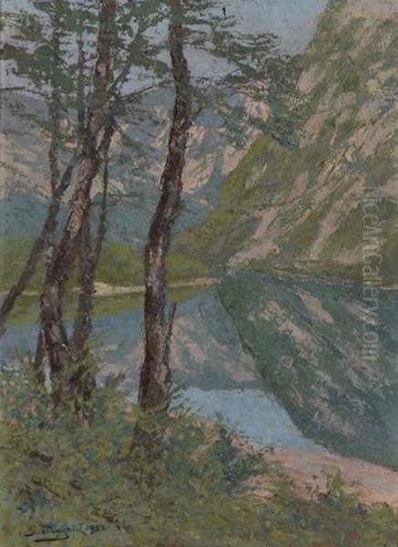 Bohinj Oil Painting by Srecko Magolic