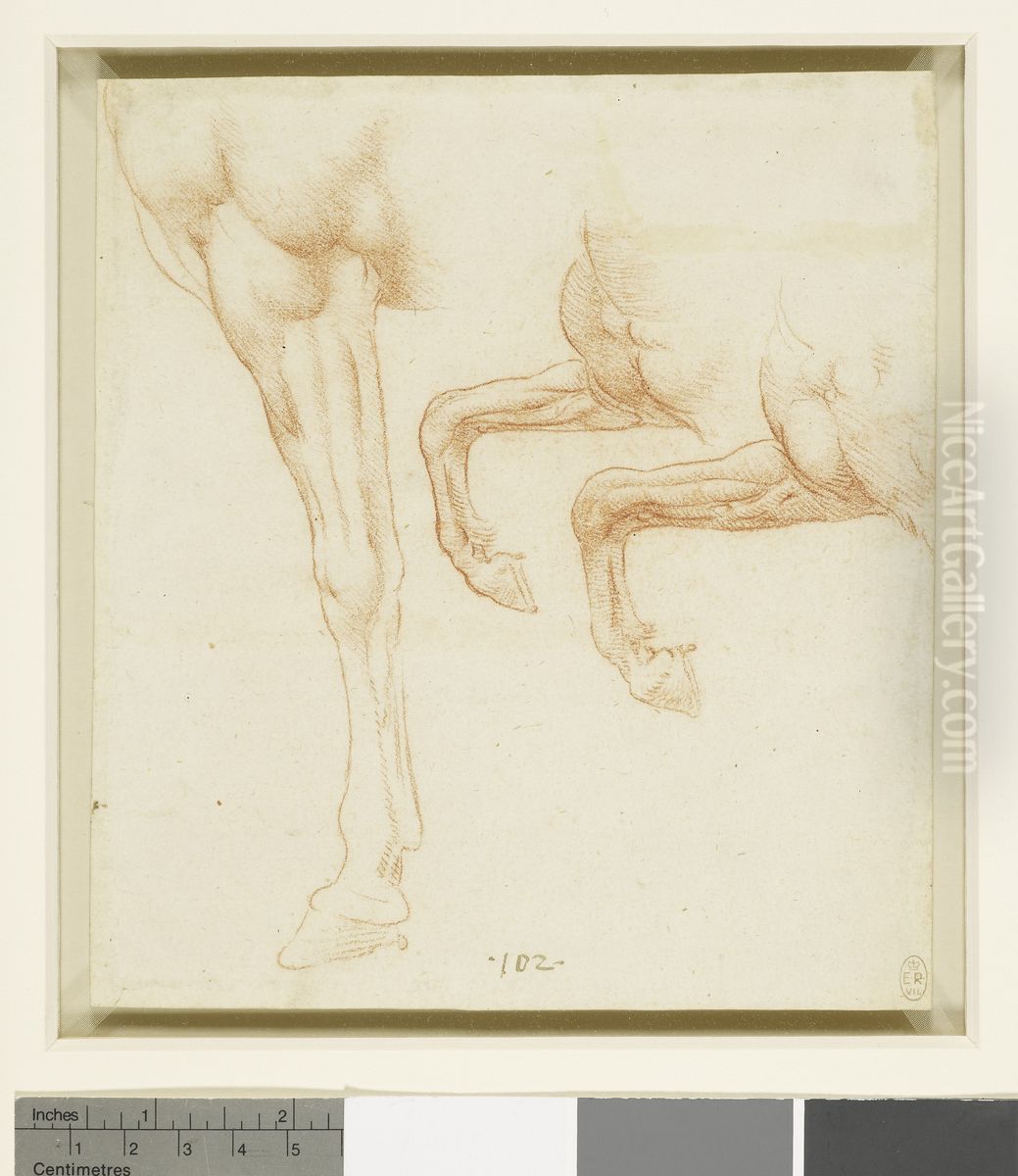 Horses' fore-legs Oil Painting by Francesco Melzi