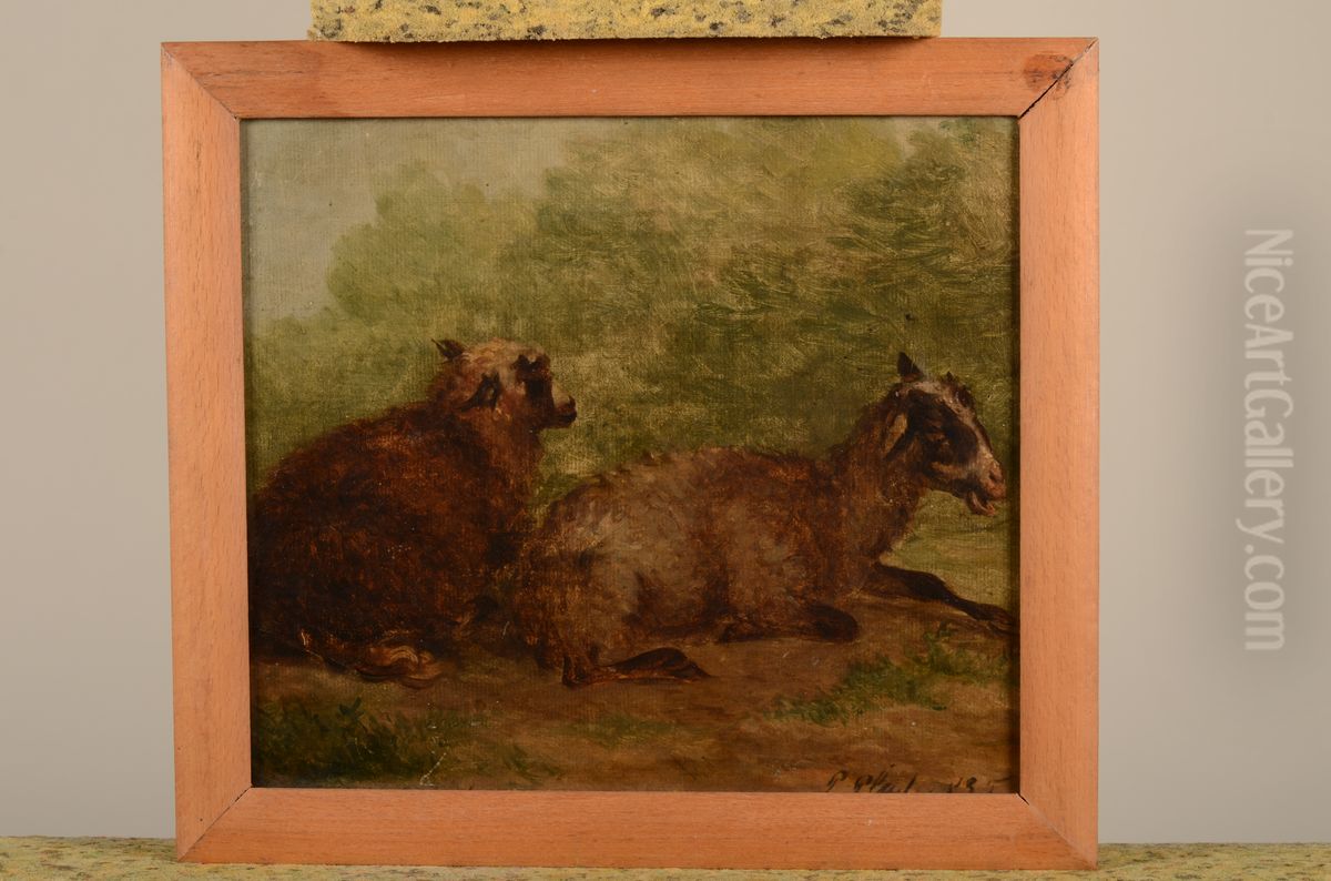 Twee liggende schapen Oil Painting by Pieter Plas