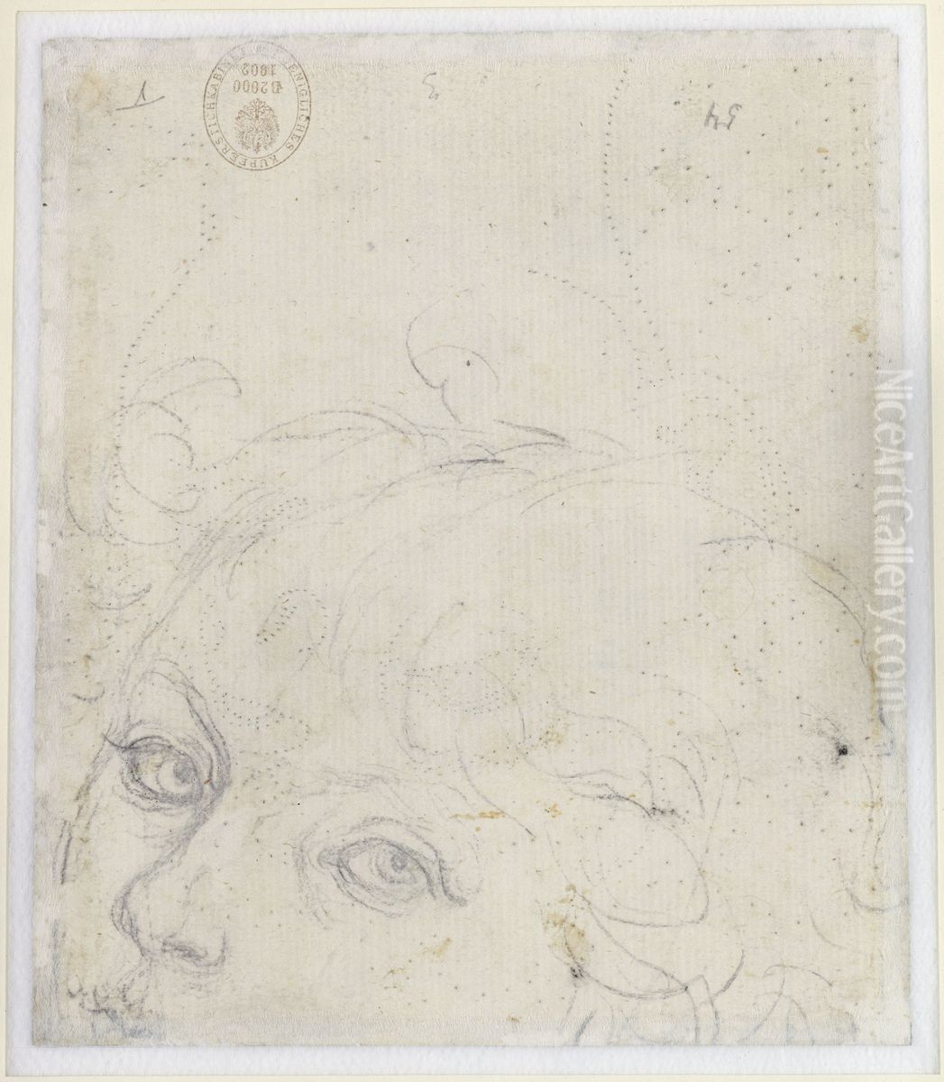 Fragment of a Head of a Young Boy (verso) Oil Painting by Andrea Del Verrocchio