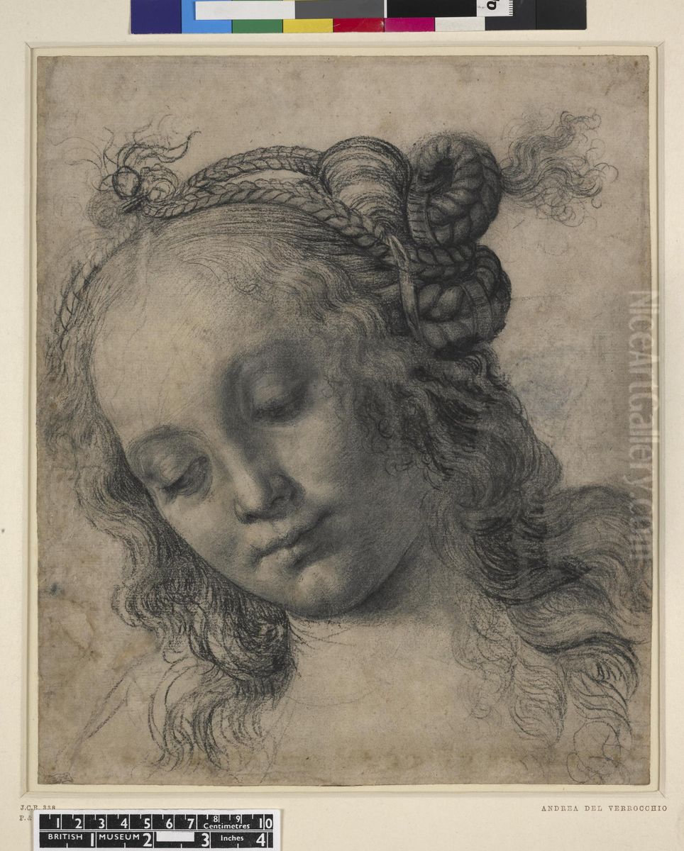 Head of a Young Woman in Three-Quarter View Facing to the Left (recto) Oil Painting by Andrea Del Verrocchio