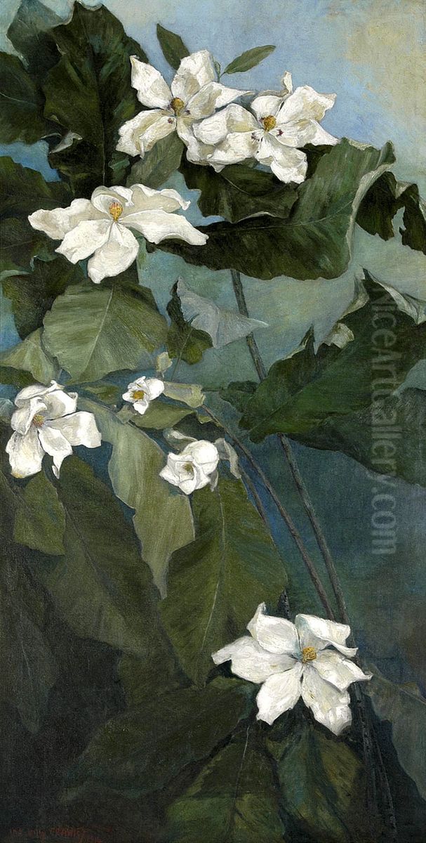 Magnolia Macrophylla Oil Painting by Ida Jolly Crawley
