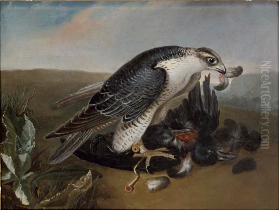 Faucon devorant un corbeau Oil Painting by Nicasius Bernaerts
