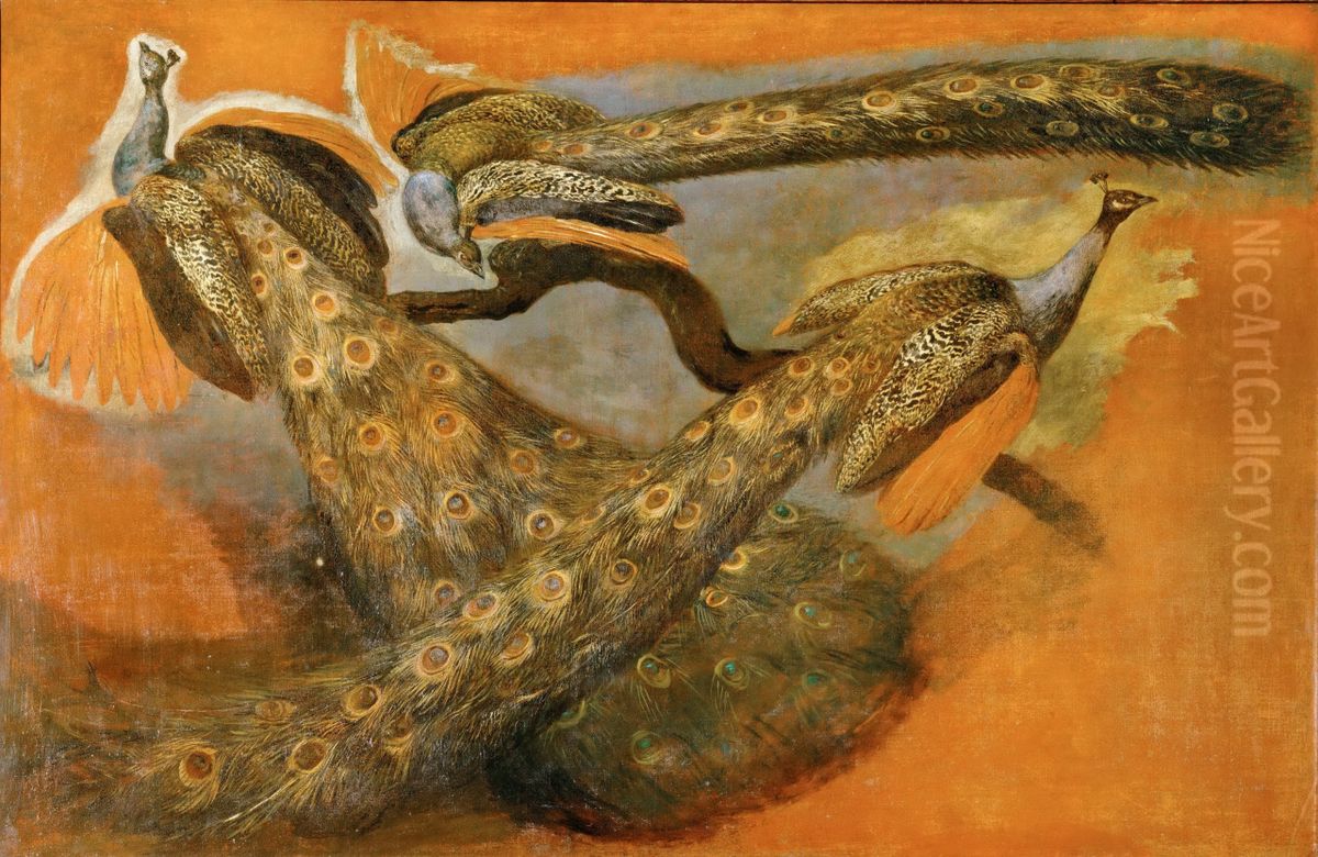 Studies of a Fox Oil Painting by Pieter Boel