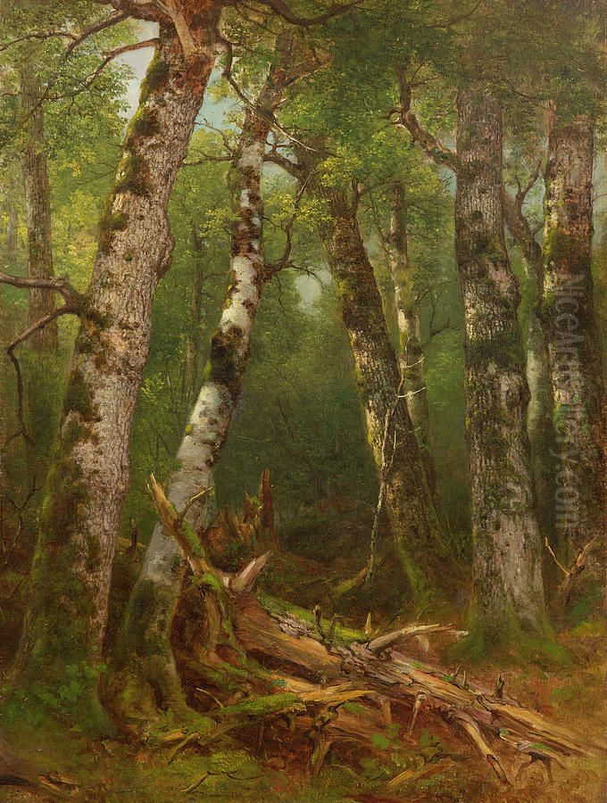 Group of Trees Oil Painting by Asher Brown Durand