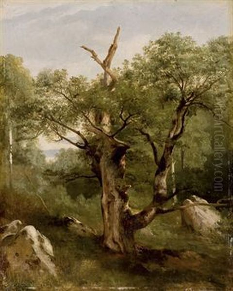 a study of a tree Oil Painting by Jules Louis Phillipe Coignet