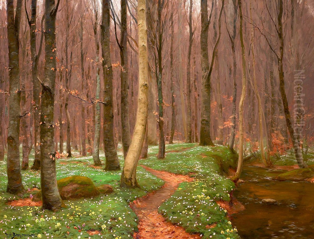 Beech forest with anemones in bloom and a small stream. Oil Painting by H. A. Brendekilde
