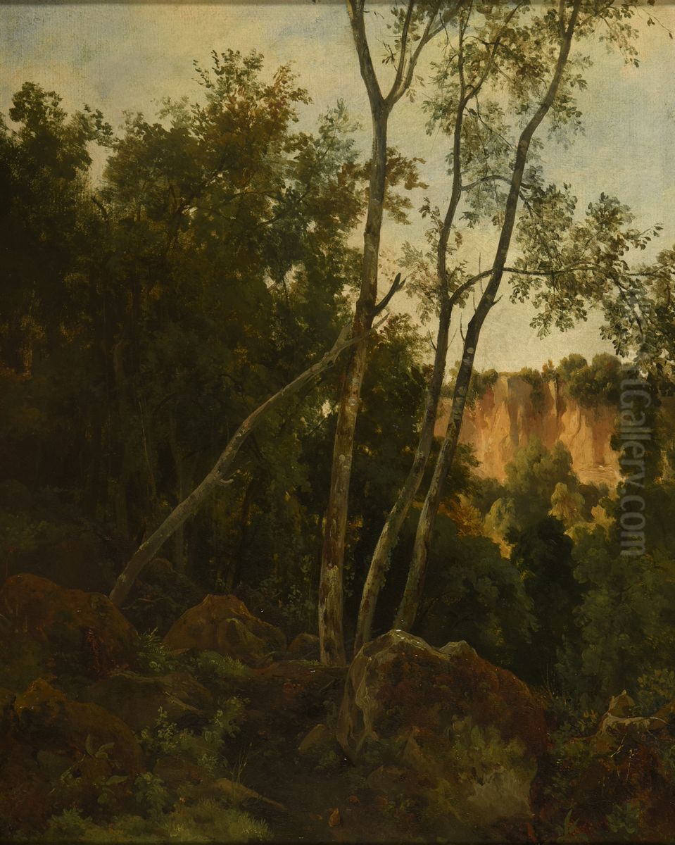 Foret avec rochers Oil Painting by Jacques Raymond Brascassat