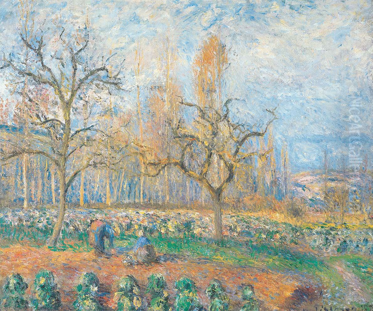 Obstgarten in Pontoise bei Sonnenuntergang Oil Painting by Camille Pissarro