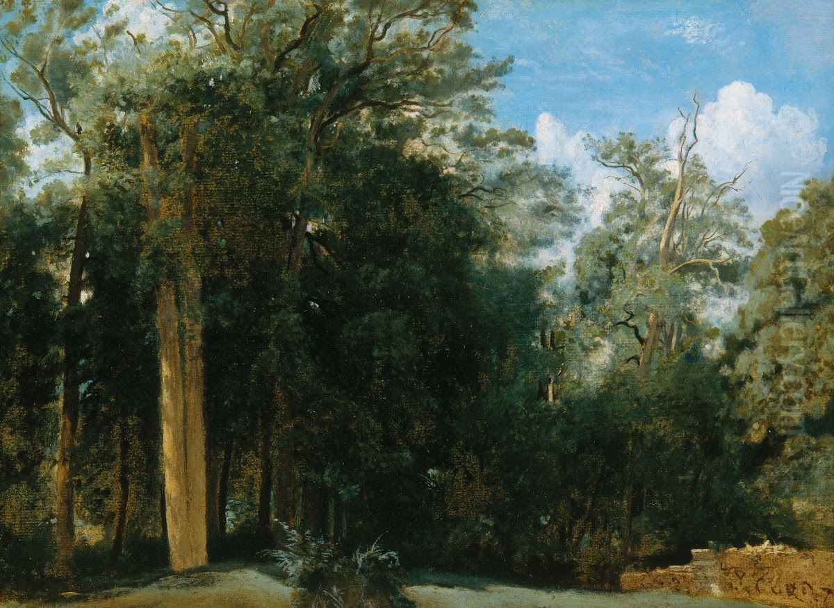 Fontainebleau. Lisiere de foret avec un petit mur Oil Painting by Jean-Baptiste Camille Corot