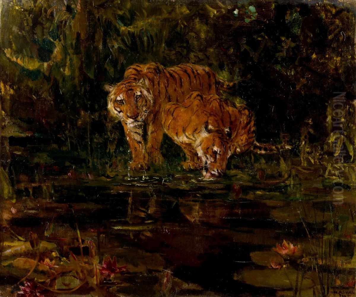 Tigers drinking Oil Painting by John Macallan Swan