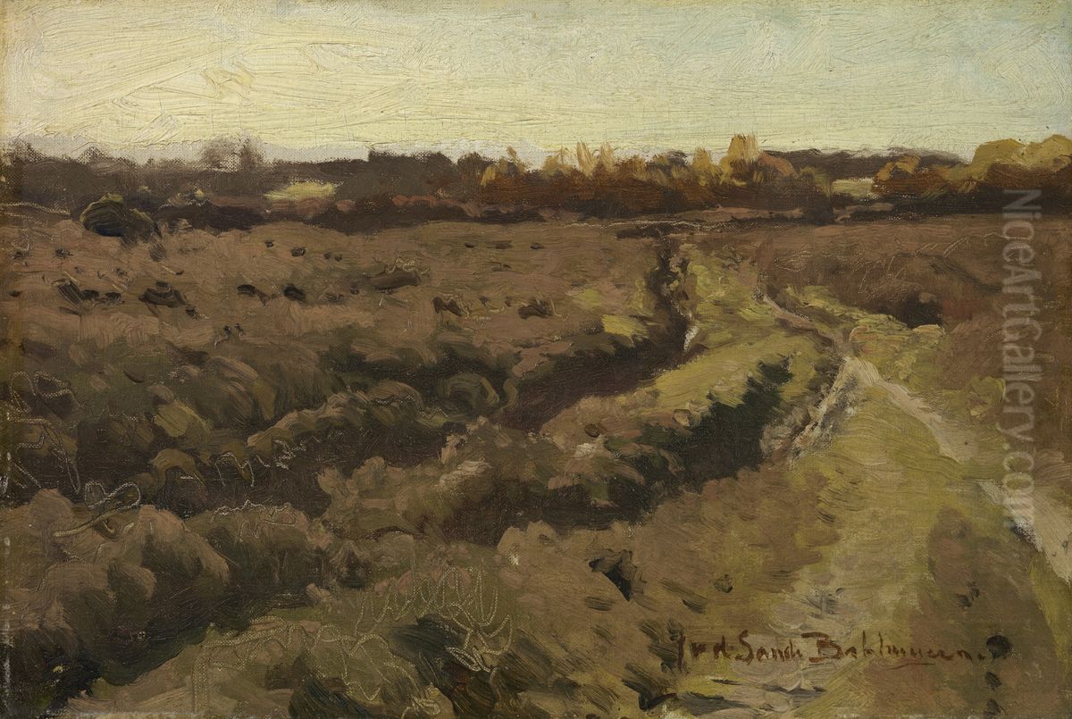 Heide bij Rolde Oil Painting by Julius van de Sande Bakhuyzen