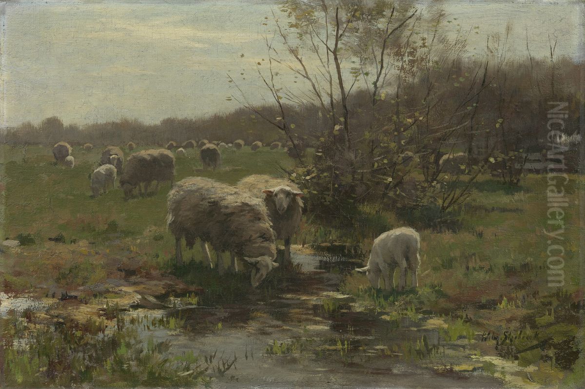 Schapen op de hei bij Lunteren Oil Painting by Willem II Steelink