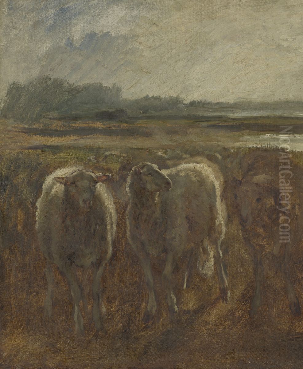 Schapen Oil Painting by Constant Troyon