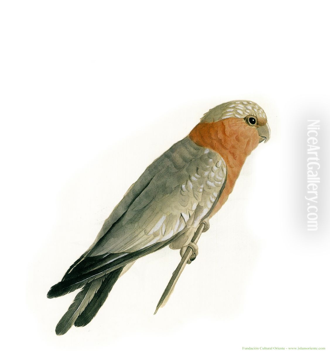 twty Oil Painting by Kamal-ol-molk