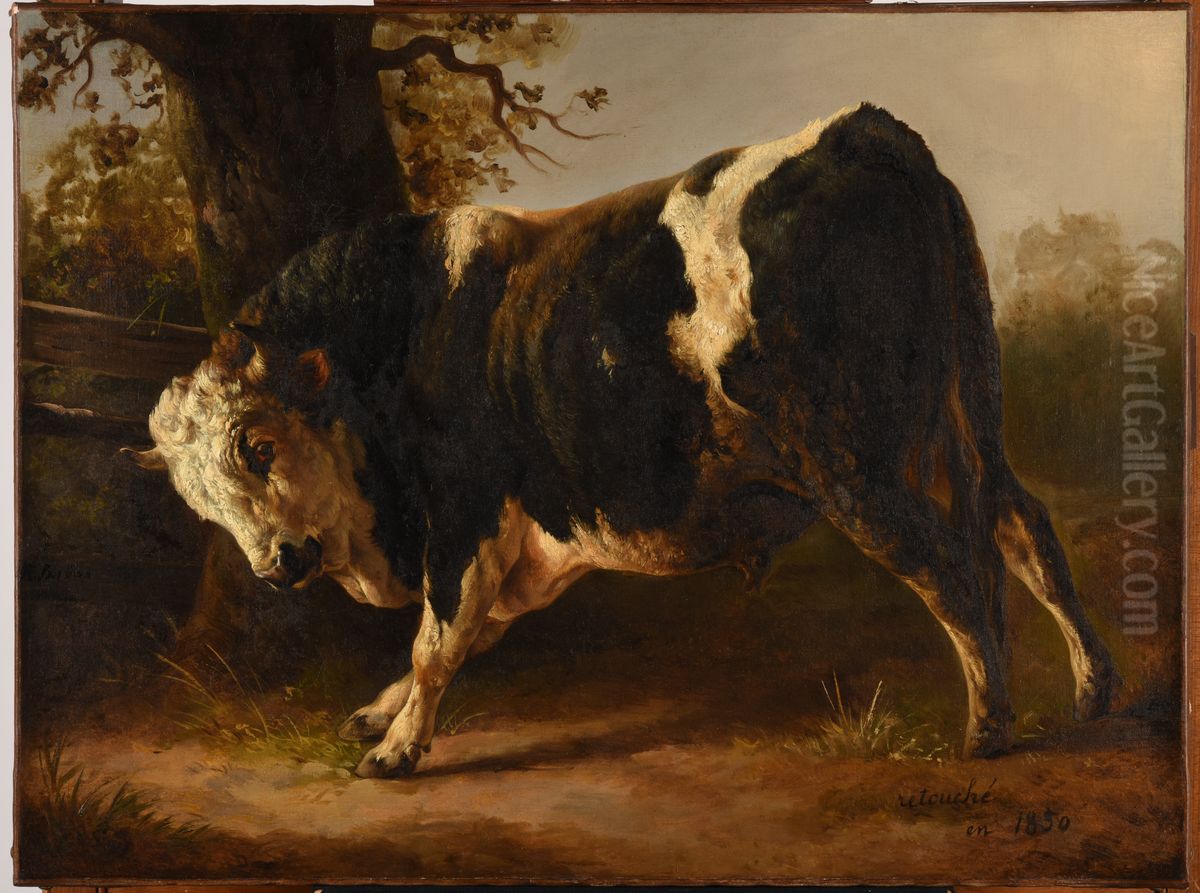 Taureau en courroux Oil Painting by Jacques Raymond Brascassat