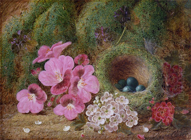 Bird's Nest with Flowers Oil Painting by Oliver Clare