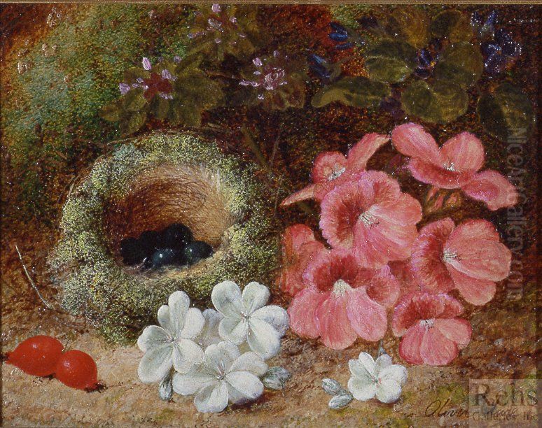Flowers and a Bird's Nest Oil Painting by Oliver Clare