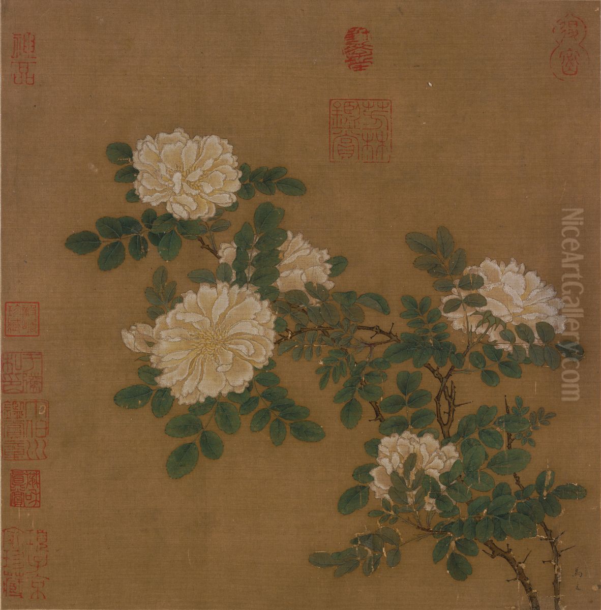 White Rose Oil Painting by Ma Yuan