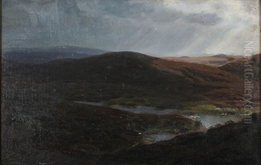 Heath landscape. (30 x 45 cm). Oil Painting by Hans Agersnap