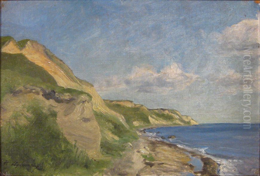 Coastal view of AEro. Oil Painting by Hans Agersnap