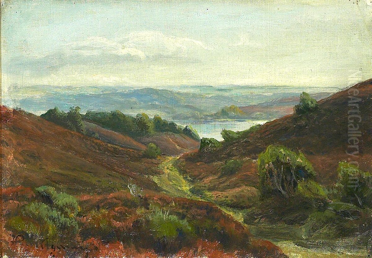 Parti fra Silkeborgsoerne. Oil Painting by Hans Agersnap