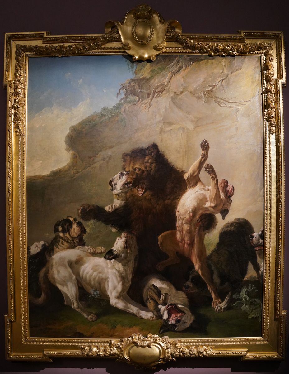 Un Ours de Pologne attaque par des Chiens Oil Painting by Jean-Jacques Bachelier