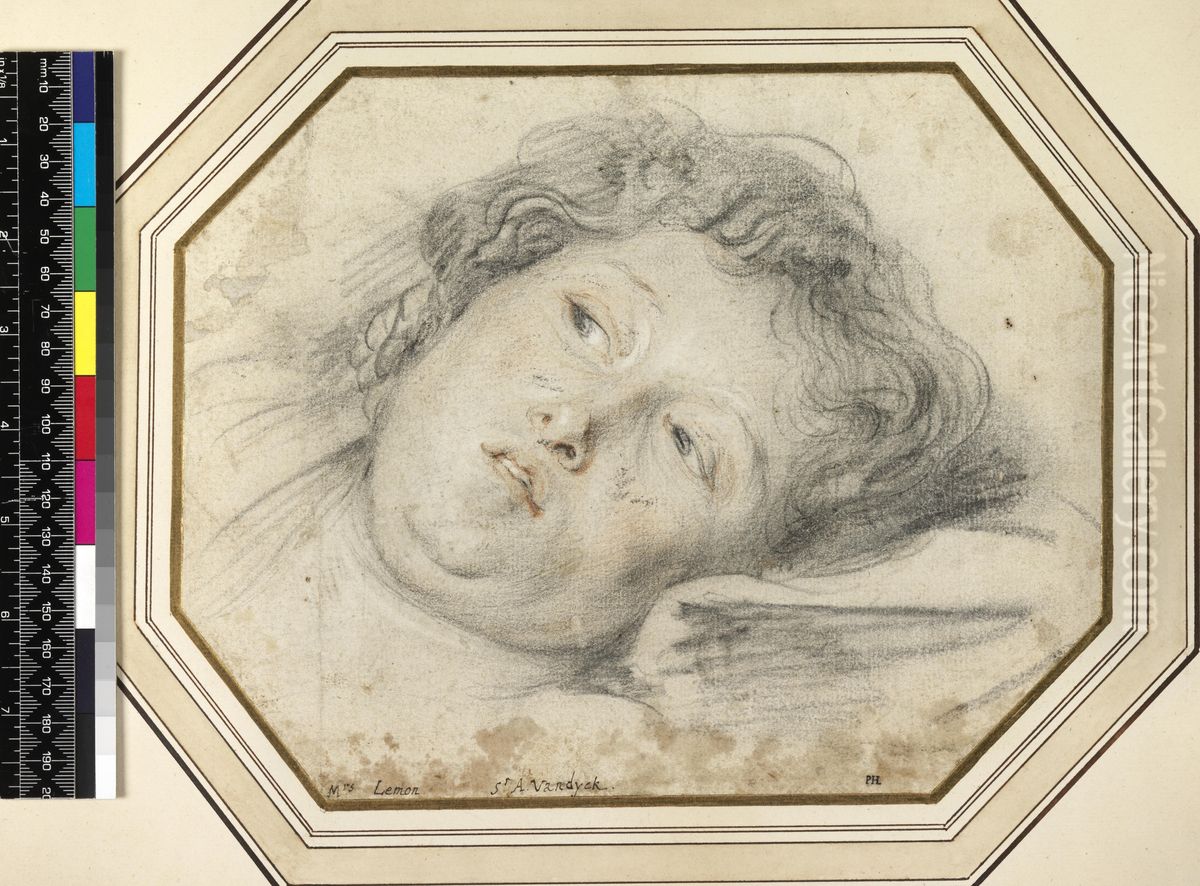 Portrait of Margaret Lemon Oil Painting by Sir Anthony Van Dyck