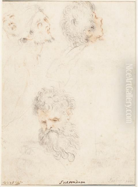A double-sided sheet of studies of heads, verso Oil Painting by Jan Saenredam