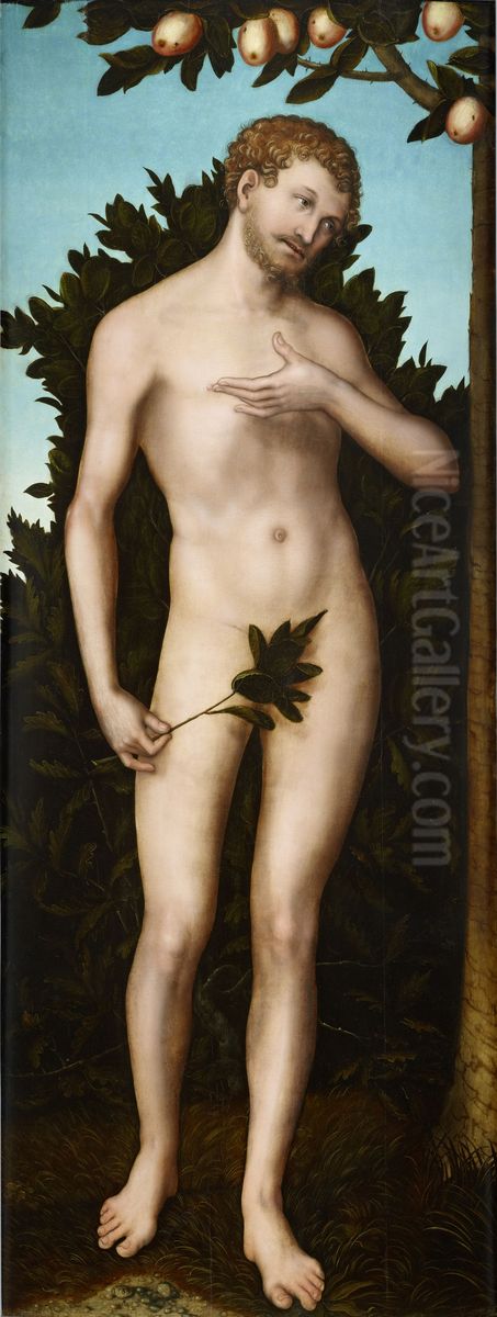 Adam Oil Painting by Lucas Cranach the Elder