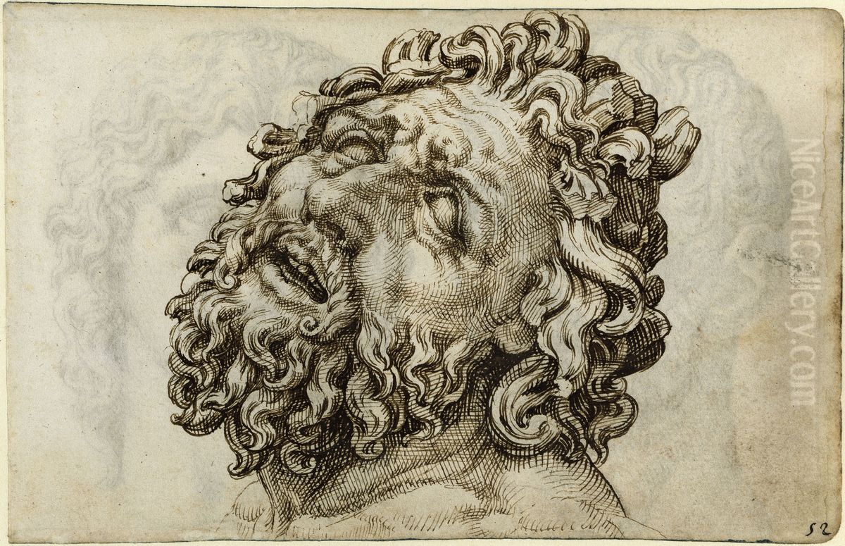Head of the Laocoon Oil Painting by Maarten Van Heemskerck