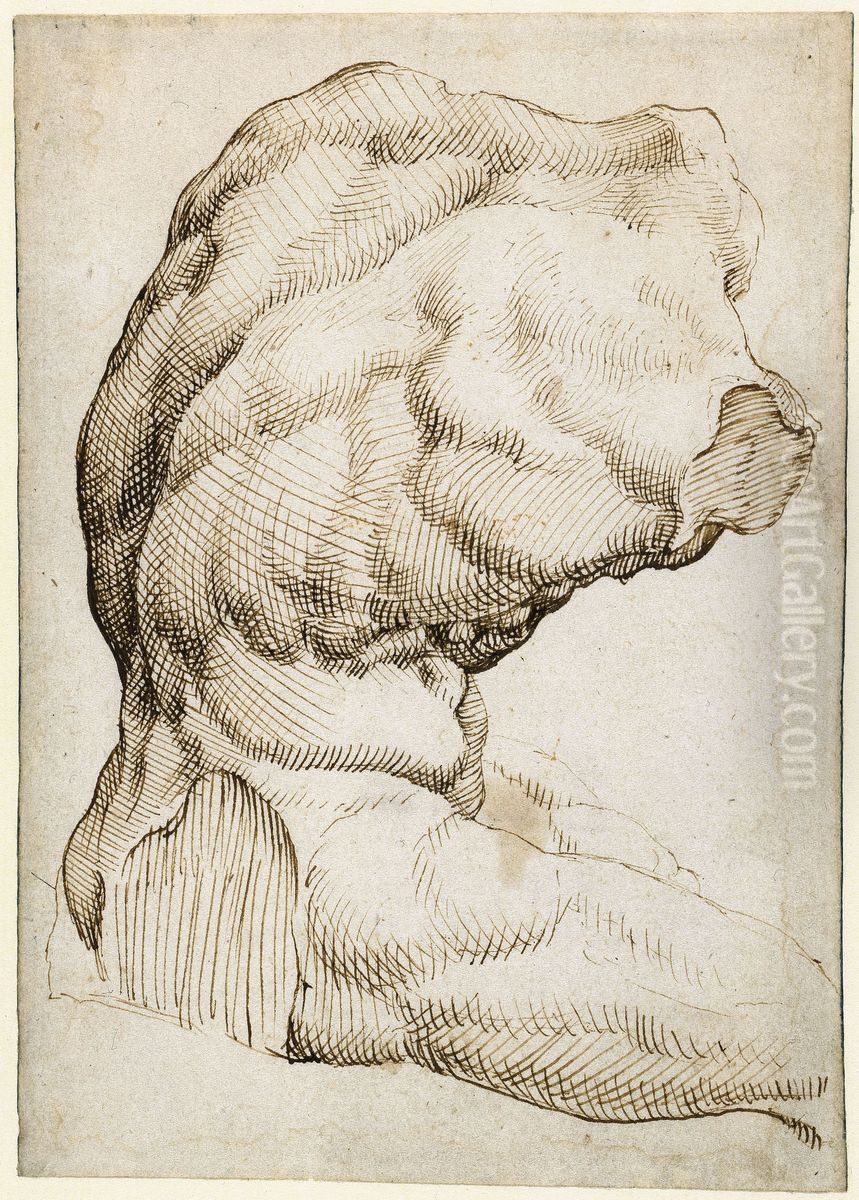Belvedere Torso Oil Painting by Maarten Van Heemskerck